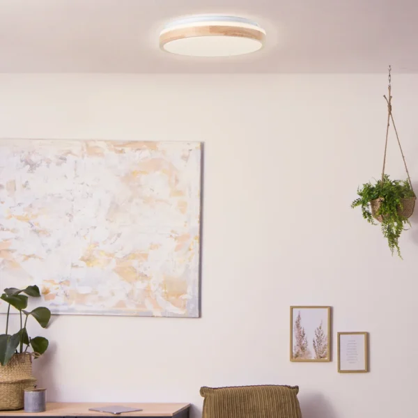 Brilliant Brodsky Ceiling Light LED brown, white, 1-light source, 20-09-2026 - слика 1